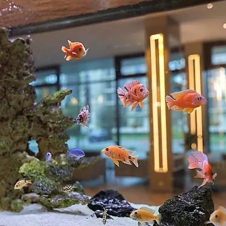 Olymp Iv Resort Kołobrzeg